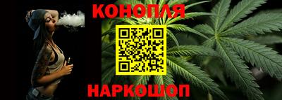шишки Бердск