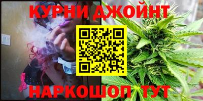 шишки Бердск