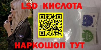 шишки Бердск