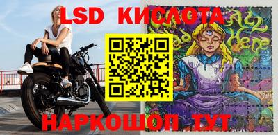 прущие крисы Белореченск
