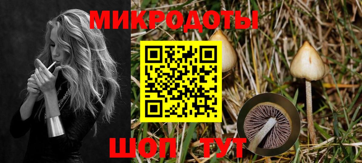 Кизилюрт  Галлюциногенные грибы ЛСД  Вход с VPN 