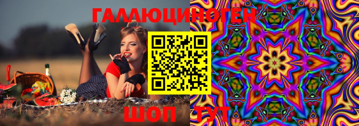 Псилоцибиновые грибы Cubensis Кизилюрт